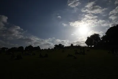 DSC_5972 (Large).JPG